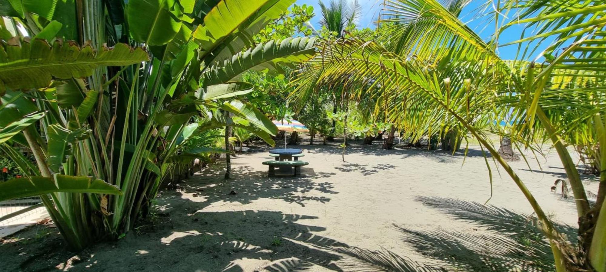 Hotel Playa Westfalia Πουέρτο Λιμόν Εξωτερικό φωτογραφία